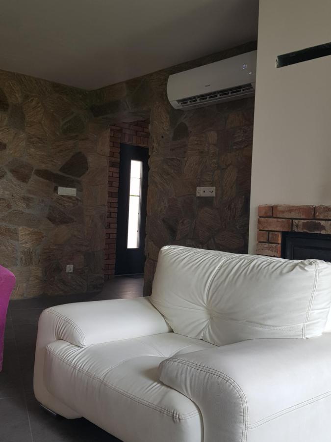 Mlynska 8 Opole-Gorki Villa Luaran gambar
