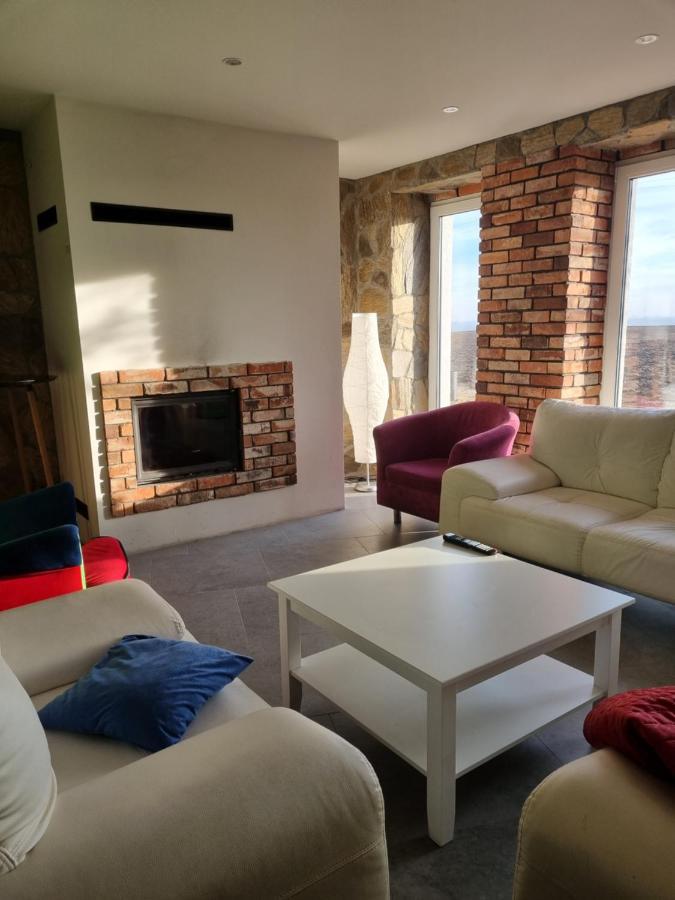 Mlynska 8 Opole-Gorki Villa Luaran gambar